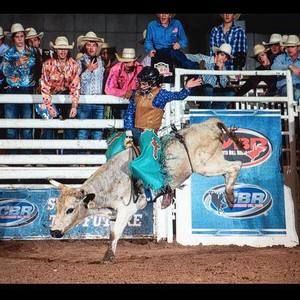 Meet your Posher, Hudson